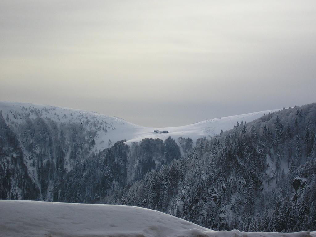Les Bouquetins Stosswihr Quarto foto